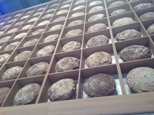 Optimale Aufbewahrung von Brot